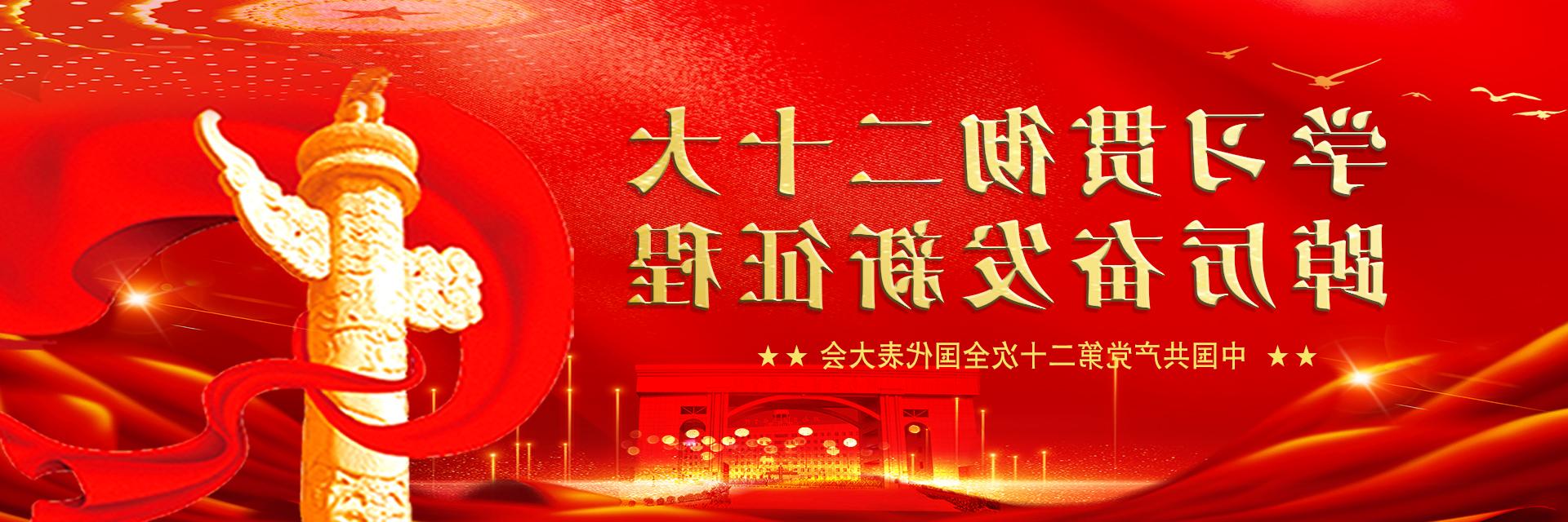 学习贯彻二十大踔厉奋发新征程